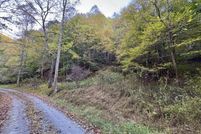 Undeveloped Land for sale in Washington County, Virginia