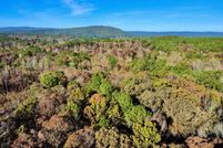 Undeveloped Land for sale in Shelby County, Alabama