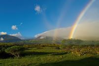Undeveloped Land for sale in Maui County, Hawaii