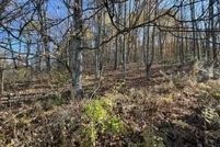 Property for sale in Potter County, Pennsylvania