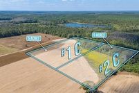 Undeveloped Land for sale in Covington County, Alabama