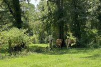 Property for sale in Santa Rosa County, Florida