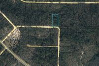 Undeveloped Land for sale in Jackson County, Florida