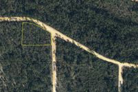 Undeveloped Land for sale in Jackson County, Florida