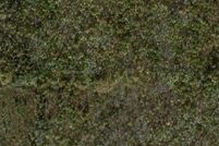 Undeveloped Land for sale in Ashtabula County, Ohio