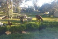 Property for sale in San Diego County, California