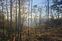 Undeveloped Land for sale in Dade County, Georgia