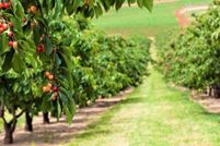 Undeveloped Land for sale in Santa Clara County, California