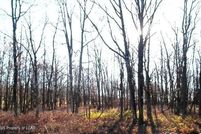 Undeveloped Land for sale in Luzerne County, Pennsylvania