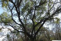 Undeveloped Land for sale in Hamilton County, Texas
