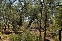 Undeveloped Land for sale in Wilson County, Texas