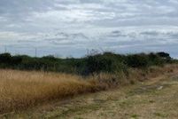 Residential Property for sale in Victoria County, Texas