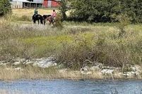 Timberland Property for sale in Comal County, Texas