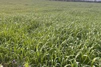 Property for sale in Coryell County, Texas