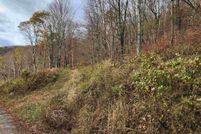 Undeveloped Land for sale in Randolph County, West Virginia