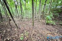 Property for sale in Limestone County, Alabama