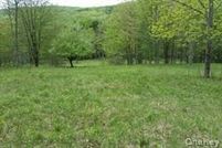 Undeveloped Land for sale in Sullivan County, New York