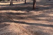 Property for sale in Claiborne Parish, Louisiana