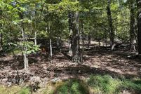 Undeveloped Land for sale in Wayne County, Pennsylvania