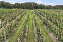 Undeveloped Land for sale in Leelanau County, Michigan