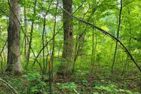 Property for sale in Appomattox County, Virginia