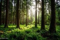 Property for sale in Schuylkill County, Pennsylvania