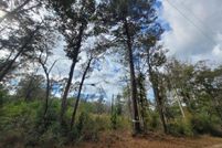 Undeveloped Land for sale in Jasper County, Texas