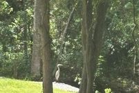 Property for sale in Grayson County, Texas