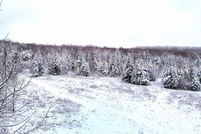 Property for sale in Franklin County, New York