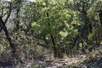 Property for sale in Johnson County, Texas