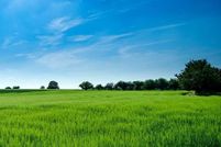 Property for sale in Cape May County, New Jersey