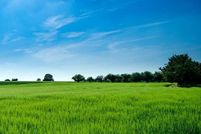 Farm Property for sale in Cape May County, New Jersey