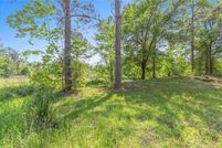 Undeveloped Land for sale in Beauregard Parish, Louisiana