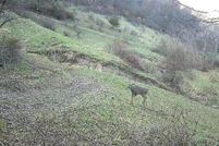 Property for sale in Grant County, Wisconsin