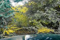 Property for sale in Calcasieu Parish, Louisiana