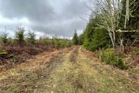 Undeveloped Land for sale in Lewis County, Washington