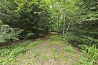 Undeveloped Land for sale in Luzerne County, Pennsylvania