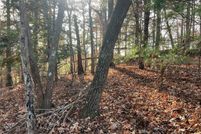 Undeveloped Land for sale in Gilmer County, Georgia