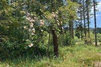 Property for sale in Del Norte County, California