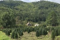 Property for sale in Coos County, New Hampshire