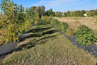 Property for sale in Morton County, North Dakota