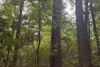 Property for sale in Gadsden County, Florida