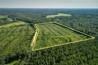 Undeveloped Land for sale in Holmes County, Florida