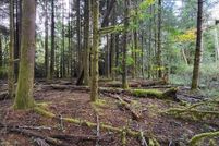 Property for sale in Pacific County, Washington