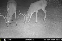 Property for sale in Brown County, Texas