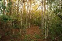 Undeveloped Land for sale in Lake County, Florida