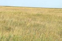 Property for sale in Lane County, Kansas