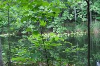 Property for sale in Kershaw County, South Carolina