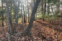 Property for sale in Gilmer County, Georgia