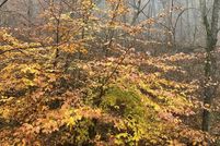 Property for sale in Floyd County, Kentucky